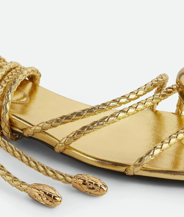Bottega Veneta Adam Flat Sandal>Women Flats | Sandals