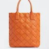 Bottega Veneta Cabat>Women Bottega Series
