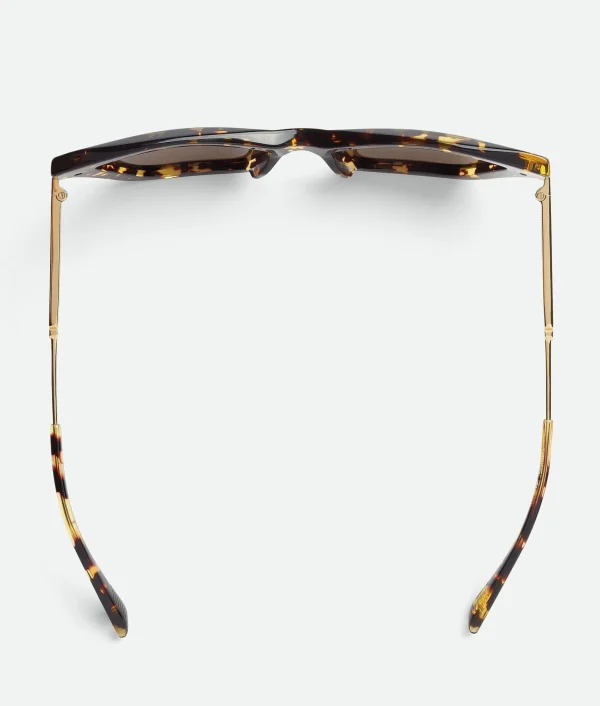 Bottega Veneta Classic Acetate Cat Eye Sunglasses>Women Sunglasses | Sunglasses