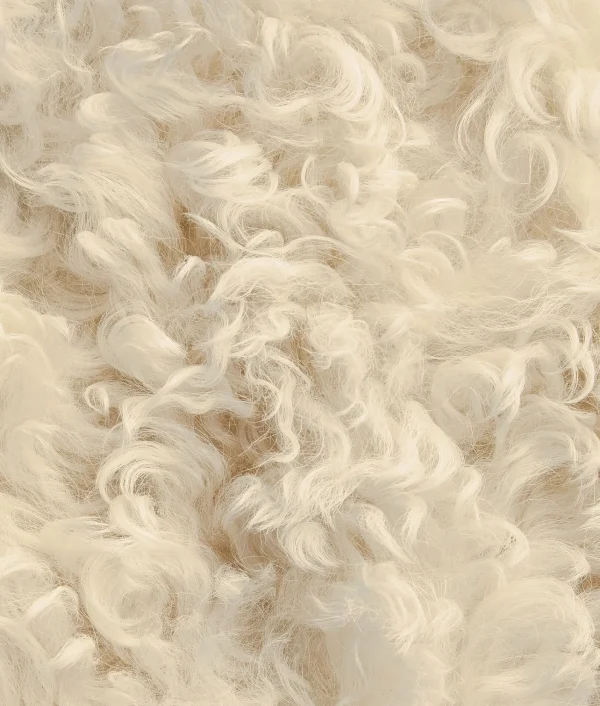 Bottega Veneta Curly Shearling Coat>Women Coats