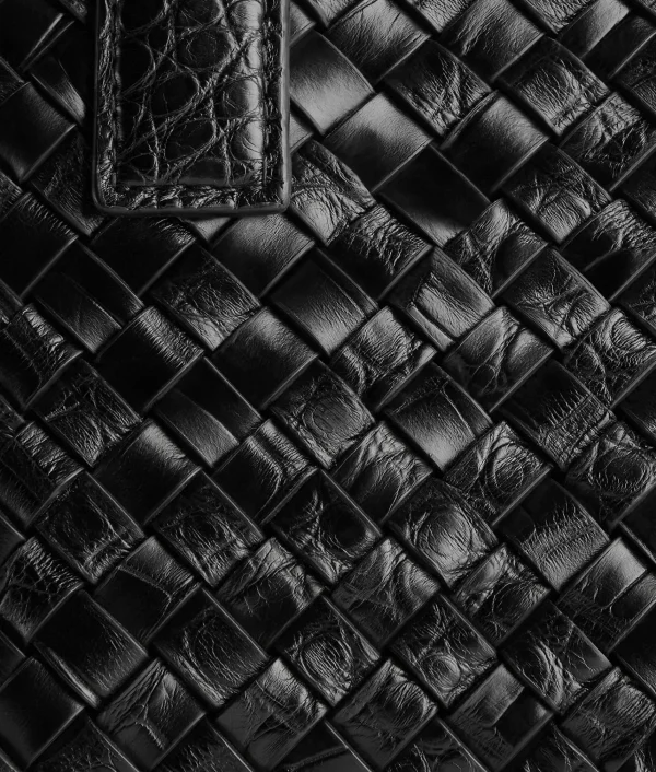 Bottega Veneta Mini Cabat>Women Mini