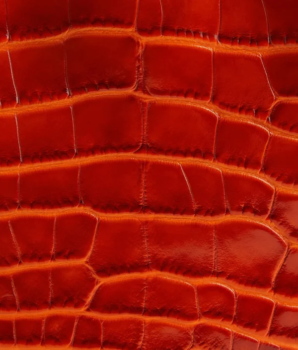 Bottega Veneta Mini Sardine>Women Mini
