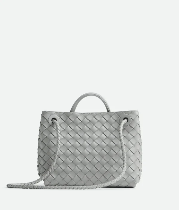 Bottega Veneta Small Andiamo>Women Handle | Crossbody