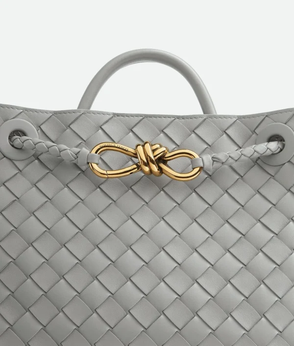 Bottega Veneta Small Andiamo>Women Handle | Crossbody