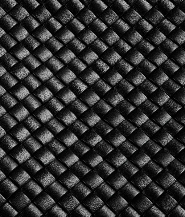 Bottega Veneta Snap>Women Bottega Series